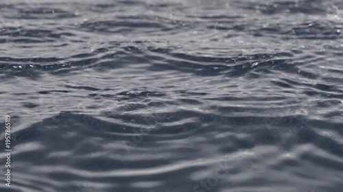 Ripples on Dark Water Surface Waves.