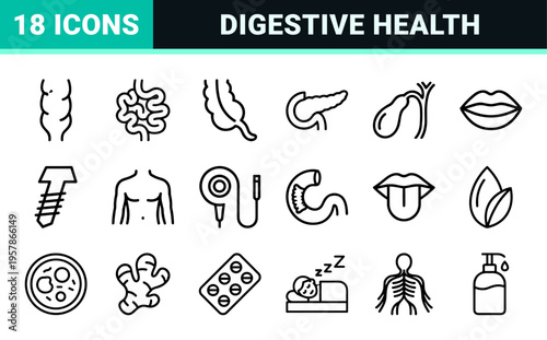 Human Digestive System and Gastroenterology Line Art Icons Featuring Stomach Liver Intestines and Pancreas in Ultra Minimalist Monoline Style