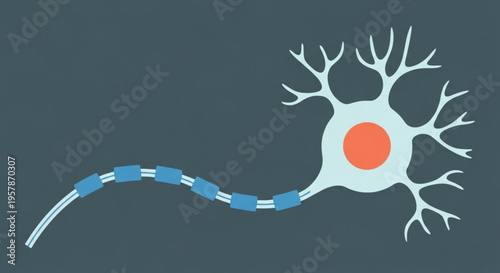 Conceptual vector illustration of a neuron cell, depicting its fundamental structure including axon, dendrites, and cell body, vital for understanding the nervous system