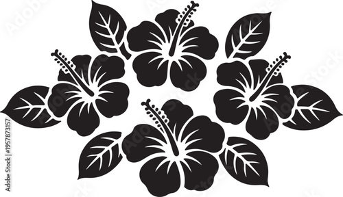 hibiscus flower symmetrical botanical illustration silhouette vector illustration 
