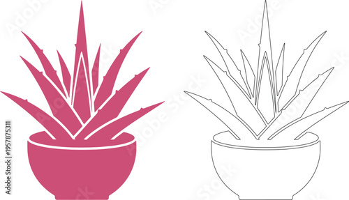 Pink aloe vera plant silhouette and outline