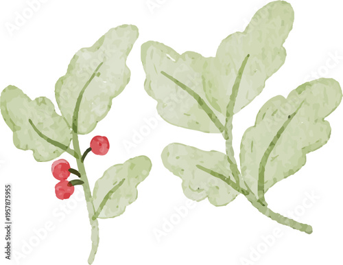 watercolor green plant and berries
