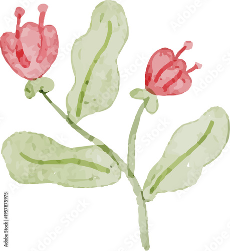 watercolor green botanical plants clip art
