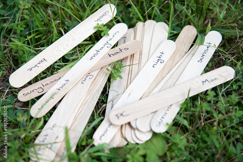 Wooden popsicle sticks with opposite things written on either end laying in the grass