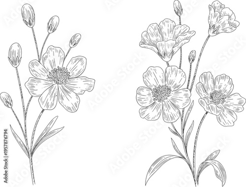 Vintage wildflower botanical sketch vector set, hand drawn floral illustration for wedding, nature, and organic design