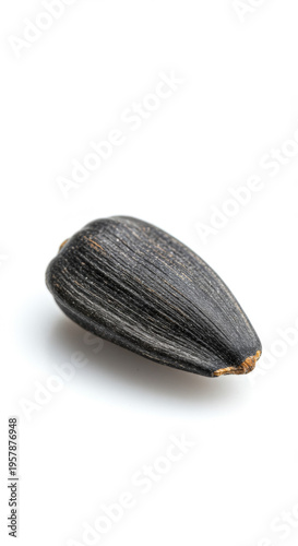 Single Sunflower Seed on White Background for Culinary Use