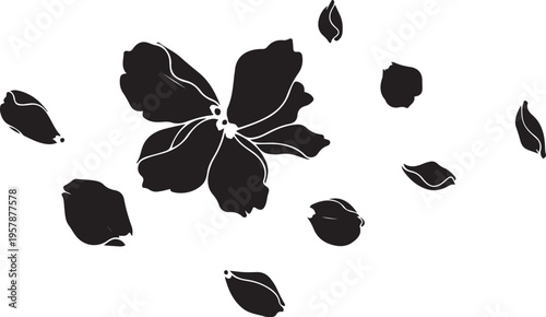 Set of 8 black flower and leaf icons vector