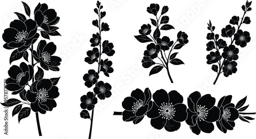 Open book with pencil reflection on surface, study concept with mirrored symmetry, education background with soft light and shadows