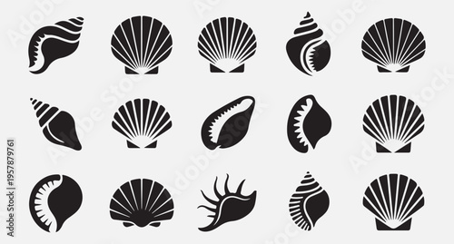  Collection of various seashells and marine shells illustrations