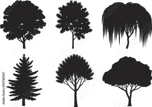 Tree silhouette vector set, black icons of oak, pine, and willow for nature and landscape design