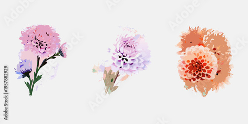 Watercolor floral illustration featuring pink purple and orange blooms