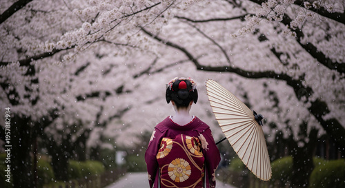 Back View of Traditional Kimono Woman in Sakura Lined Pathway