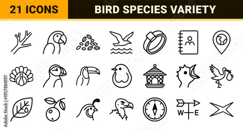 Avian Wildlife Conservation and Ornithology Line Art Symbols Featuring Minimalist Monoline Bird Species and Habitat Elements