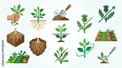 Collection of icons illustrating weed control methods, plant growth, and root systems in gardening and agriculture.