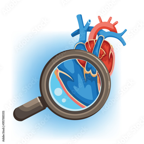Heart Anatomy Cross Section with Magnifying Glass Illustration