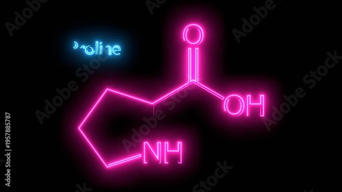 Proline is a cyclic, nonessential amino acid in humans. Chemical structure model. Medical and scientific concepts.