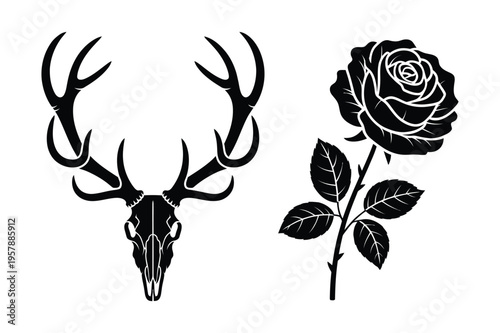 Deer skull and rose vector illustration with black and white
