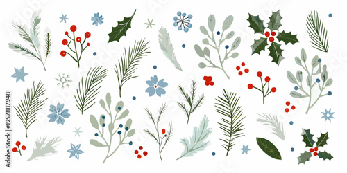 Festive winter botanical illustration with holly pine and snowflake elements
