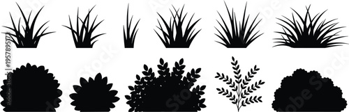 Black and white line of various types of leaves and plants leaf botanical