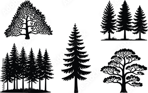 Black and white of various coniferous trees and shrubs in a natural setting pine trees fir trees spruce trees