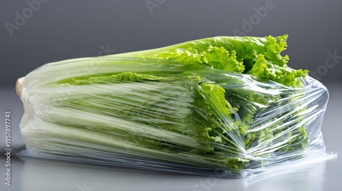 Fresh Lettuce Head: A close-up shot of a crisp, vibrant green lettuce head, wrapped in transparent packaging, showcasing the freshness and natural beauty of this essential salad ingredient.