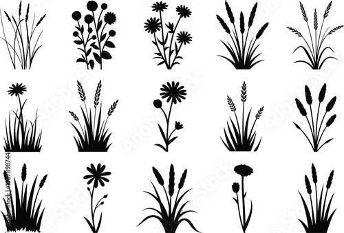 Black and white line collection of various plant species with flowers and leaves line plants botanical