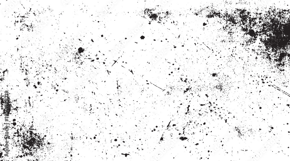 Fototapeta premium Abstract grunge texture grunge dust particle and dust grain texture white and grey Vector grunge texture abstract background