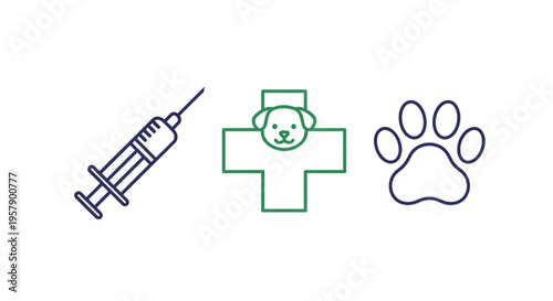 Veterinary care and pet health symbols with syringe cross and dog paw print