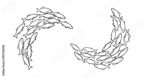 School of fish forming a circular shape outlined in a simple black and white sketch