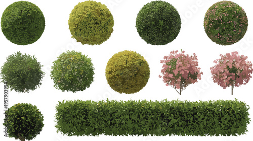 Vibrant green and pink succulent plant clusters in various arrangements green succulents pink succulents