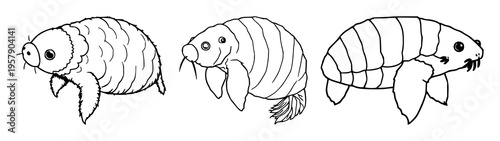 Microscopic tardigrade set with fine line art featuring biology detail, elegant thin lines, minimalist outline with illustration and vector