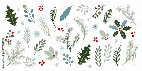 Assorted winter botanical illustrations with sprigs leaves and berries