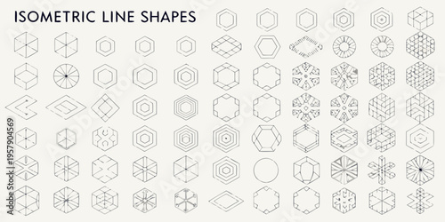 Collection of isometric line shapes and geometric patterns in grayscale