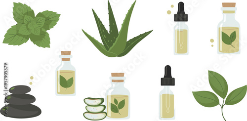 Herbal skincare ingredients set with aloe mint essential oil bottles spa wellness vector illustration collection