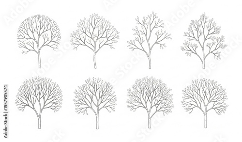 Set of Tree Branch Illustration Collection with Hand Drawn Botanical Twigs, Leaves and Natural Greenery Elements Vector Pack