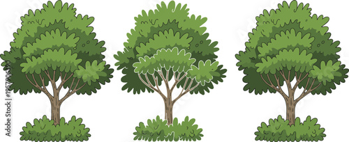 Green leafy trees with apples in orchard setting isolated on white background green leaves apple trees