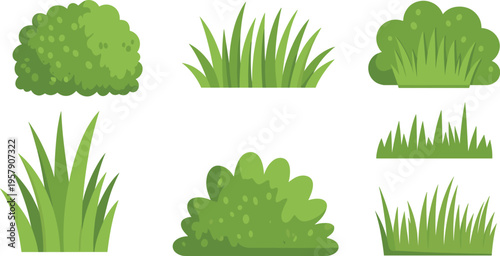 Vibrant green cactus plants with spiky pads isolated on white background succulent