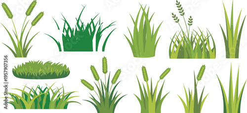 Vibrant green grass blades and clover leaves in a natural garden setting