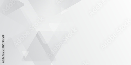 Abstract elegant triangle. White silver grey geometric universal background. modern design background with geometric shape. abstract graphic design banner pattern background template. Vector .Abstract