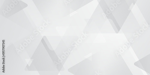 Abstract elegant triangle. White silver grey geometric universal background. modern design background with geometric shape. abstract graphic design banner pattern background template. Vector .Abstract