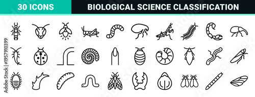 Terrestrial Invertebrate and Garden Pest Entomology Study, Minimalist Monoline Geometric Line Art for Educational and Scientific Utility
