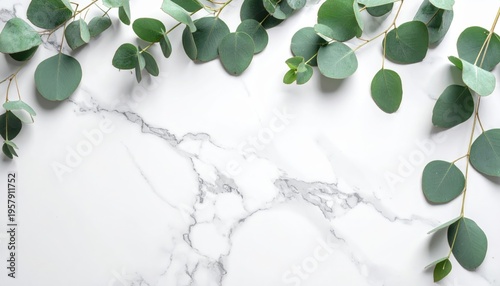 Floral border design of green leaves and ivy plants on a white paper texture background featuring a vintage nature pattern for a spring greeting card vector illustration