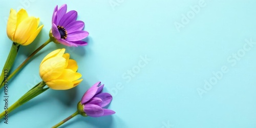 Pastel Tulips and Flowers on Light Blue Background, Perfect for Springtime Designs and Greeting Cards