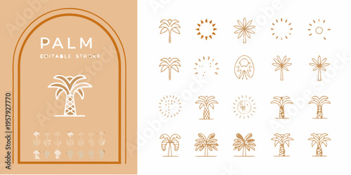 Minimalist palm tree and sun illustrations with editable stroke design elements