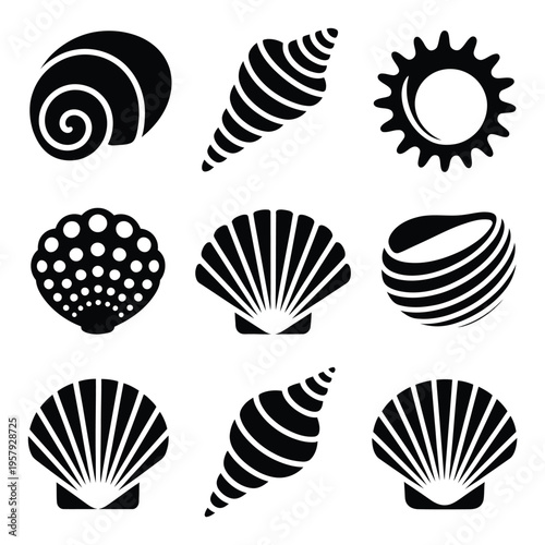 Collection of Black and White Seashell