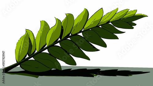 Vibrant Tropical Fern Frond, Detailed Green Leaf Illustration