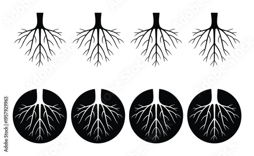 Anatomical Tree Vector Illustration of Lung Bronchi Branches