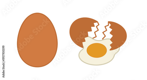An illustration depicts a whole brown egg and a cracked egg with yolk