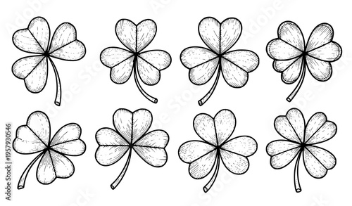 Decorative Shamrock Clover Line Art Set Lucky Leaf Vector Illustration