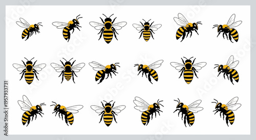 Group of flying honey bees insects.